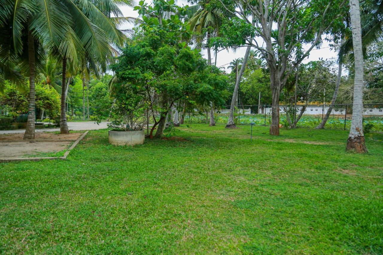 Lake Edge Holiday Inn Tissamaharama Ngoại thất bức ảnh