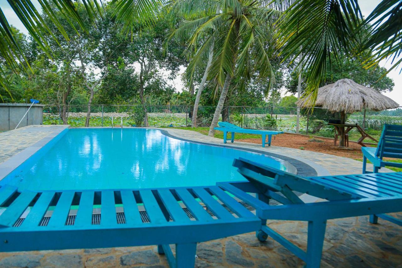 Lake Edge Holiday Inn Tissamaharama Ngoại thất bức ảnh